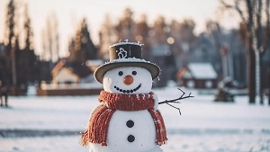 Лепка снеговика сжигает до 300 калорий в час — подсчёты тренера