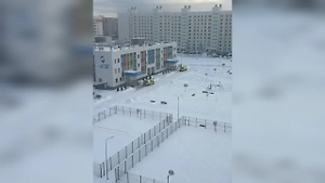 Появилось видео обстановки у школы в Нижнекамске, где ученик ранил уборщицу