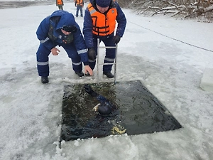 В Брянске к поискам провалившихся под лёд детей привлекли спасателей из Москвы