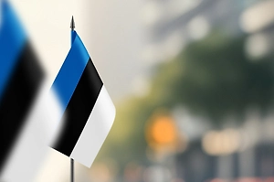 Власти Эстонии с 25 января ужесточат порядок въезда для российских дипломатов