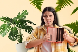 Опасные колючки по фэншуй, которые «съедают» деньги: не держите эти цветы и растения дома