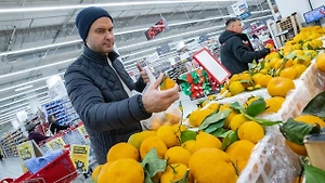 Россия стала мировым лидером по импорту мандаринов в 2025 году