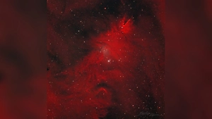 «Роскосмос» показал, как выглядит «рождественская ёлка» в космосе