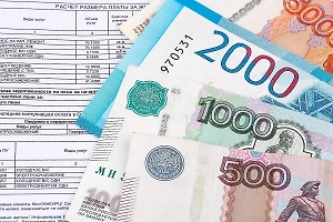 В Совфеде объяснили, как получить субсидию на ЖКХ