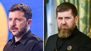 «Всех от тебя уже тошнит.»: Японцы призвали похитить Зеленского после слов о Кадырове