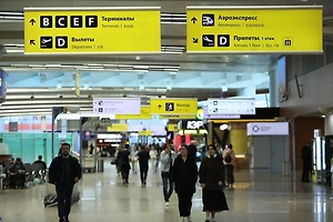 Из-за «снежного армагеддона» в аэропортах Москвы задержано и отменено более 180 рейсов