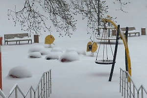 В Подмосковье мобилизовали коммунальные службы для уборки снега