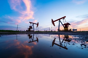 Нефтяная «семёрка» взяла паузу: ОПЕК+ не стала менять добычу в ноябре