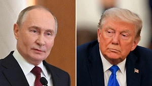 В Москве оценили возможность скорого диалога Путина и Трампа 