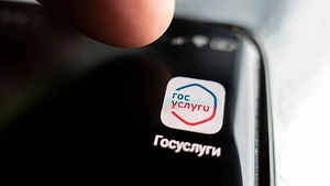 «Срочно обновите Госуслуги»: Мошенники начали рассылать россиянам опасные файлы
