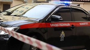 Военные следователи проверяют семью участницы «Ждуль» после видео с ребёнком