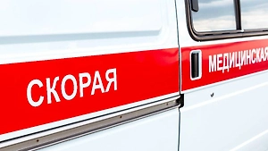 В Брянской области два грибника подорвались на взрывном устройстве в лесу