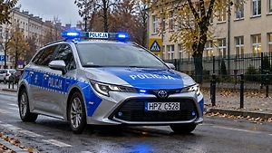 В Польше задержали 183 человека после серии нападений на школы