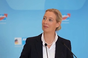 Вайдель призвала Германию отказаться от военной поддержки Украины