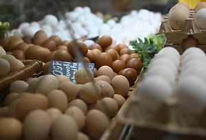 Свинина, яйца и не только: Названы самые подешевевшие продукты