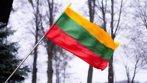Премьер Литвы: Упавший в стране дрон был украинским и нёс взрывчатку
