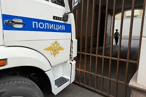 Подольский живодёр отбивался перцовкой от полицейских, которые пришли спасать кошку