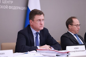 Новак заявил о необходимости корректировки ценообразования на нефтепродукты в РФ