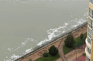 Жители Краснодара пожаловались на странную пену на поверхности Кубани