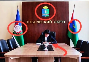 Рука пропала, гербы поплыли: Тобольских чиновников заподозрили в злоупотреблении нейросетями
