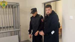 Взятка через тракторы: Бывшего руководителя компании в Оренбурге отправили в СИЗО