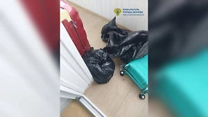 СК показал видео из московской квартиры, где нашли расчленённое тело женщины