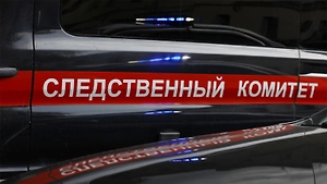 Следствие рассматривает две версии смерти младенца в аэропорту Шереметьево