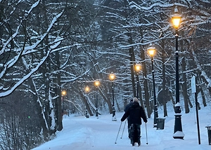 Оранжевый уровень опасности объявили в Подмосковье из-за сильного снегопада