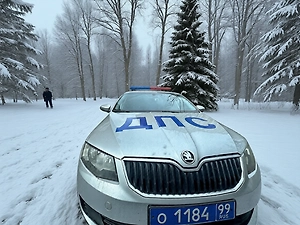 Водитель пассажирского автобуса погиб в ДТП на трассе М-4 «Дон» под Тулой