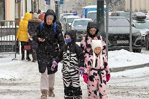 СФ одобрил закон о сохранении пособий многодетным в случае превышения доходов