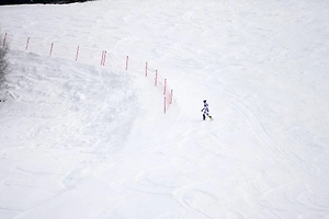 Бросил лыжи и ушёл в лес: Норвежец повторил мем с «пингвином-нигилистом» после проигрыша на Олимпиаде