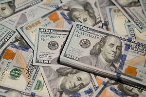 Украинский чиновник нашёл более полумиллиона долларов в гараже умершей бабушки 