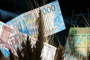 Дисциплина без стресса: Названы простые привычки, которые изменят финансовое будущее