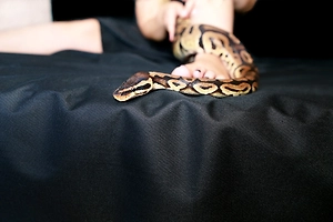 В Москве змея свинтила от соседей и перепугала семью с детьми