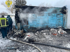 Семья с двумя детьми погибла в страшном пожаре под Рязанью