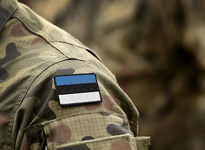 Ёж в заднице: В НАТО пришли в ужас после провальных учений с ВСУ в Эстонии