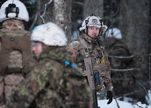 WSJ утверждает, что украинцы разгромили солдат НАТО на учениях в Эстонии