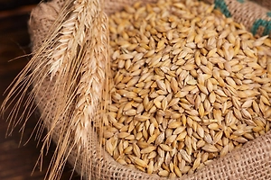 Россия за февраль нарастила экспорт пшеницы на 10,6%