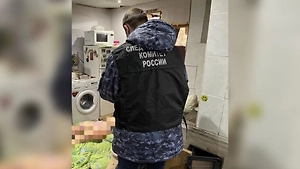 17-летний парень из Няндомы зверски убил спящую мать и спрятал тело в погребе