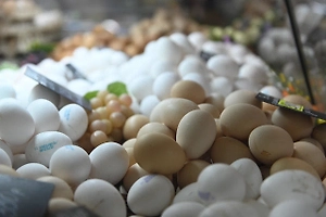 В Германии цены на яйца перед Пасхой взлетели до 8 евро из-за птичьего гриппа