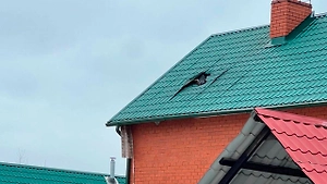 Жительница Белгородчины предложила Гладкову купить её дом из-за атак БПЛА