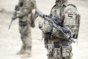 Минобороны ОАЭ отчитались об уничтожении более 500 дронов и 150 ракет Ирана