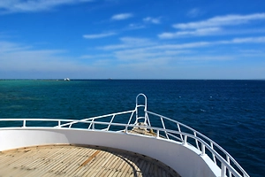 «‎Младенцев расчленяли»: Жертва Эпштейна сообщила о жертвоприношении на вечеринке на яхте