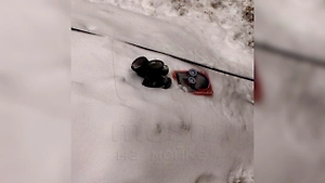 В Петербурге дворник чудом поймал выпавшего из окна 7-го этажа ребёнка