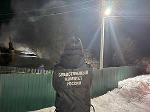 Пожар, унёсший жизни троих людей под Саратовом, произошёл из-за поджога