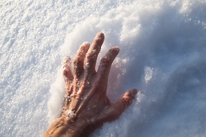 Замёрзшие отец с сыном в Эвенкии не дошли до спасительного жилья всего 50 метров