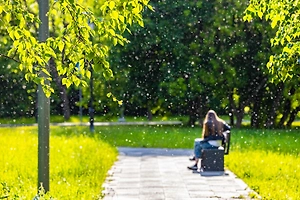 Готовимся к сезону пыльцы зимой: Как «подстелить соломку» до начала весеннего цветения