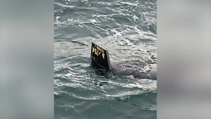 У берегов Стамбула рыбаки нашли объект, похожий на беспилотник