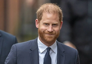 Шевроны «Правого сектора»* заметили у принца Гарри в кабинете