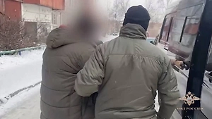 Фиктивные браки и доверенности: Банда мошенников похитила у бойцов СВО миллионы рублей